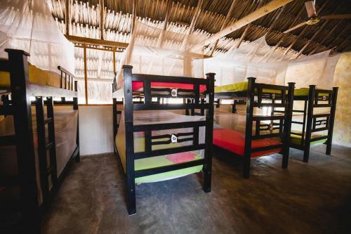 Tiki Hut Hostel