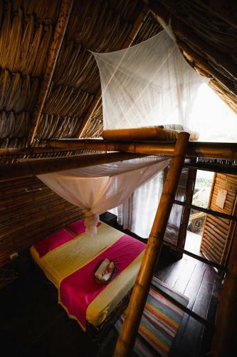 Tiki Hut Hostel