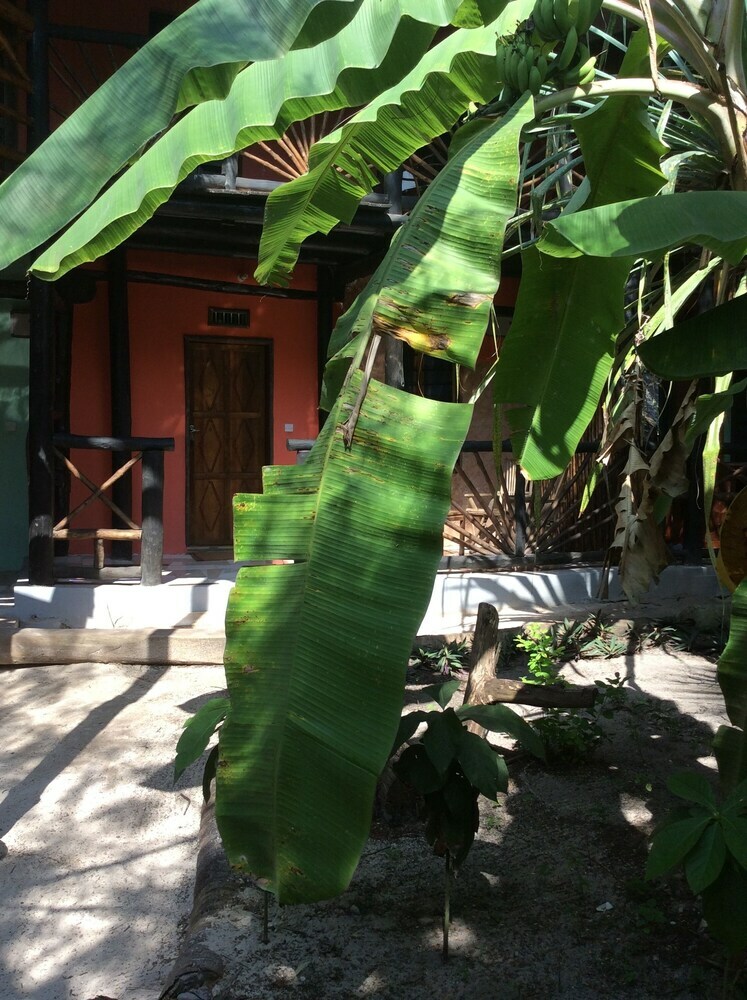 Hotel Kajibange Bar And Guesthouse