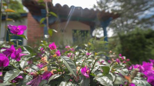 Hotel Termales El Oto�o