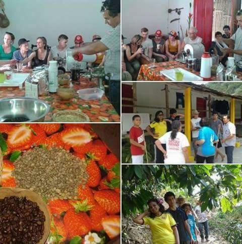 La Candelaria Coffee Farm B&B