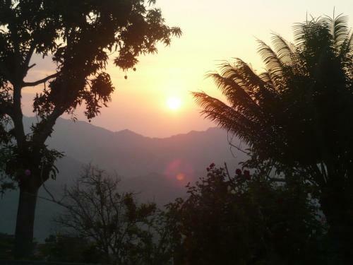 La Candelaria Coffee Farm B&B