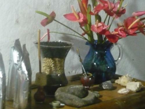 La Candelaria Coffee Farm B&B