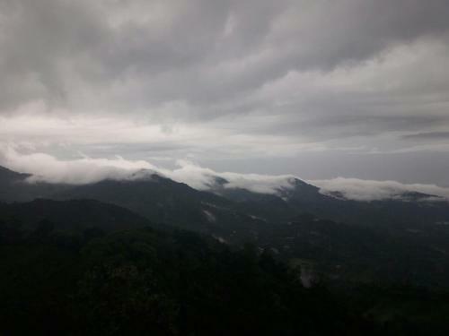La Candelaria Coffee Farm B&B