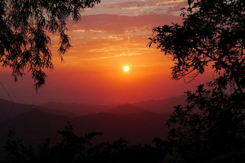 La Candelaria Coffee Farm B&B