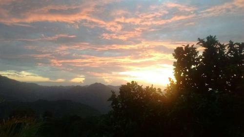 La Candelaria Coffee Farm B&B