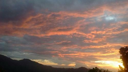 La Candelaria Coffee Farm B&B