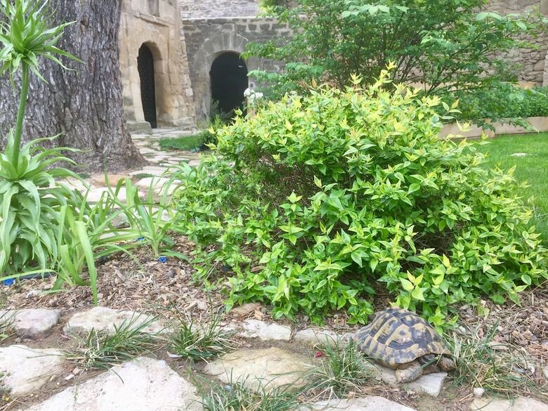 Bed & Breakfast Tour Sarrazine De Montaren