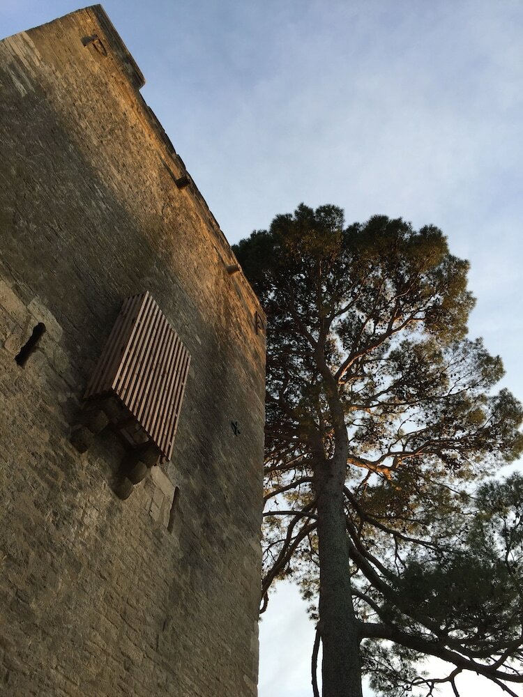 Bed & Breakfast Tour Sarrazine De Montaren