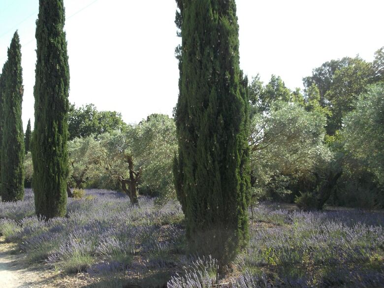 Hotel B&B Les F�rigoules