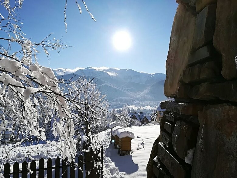 Hotel Willa Turnia