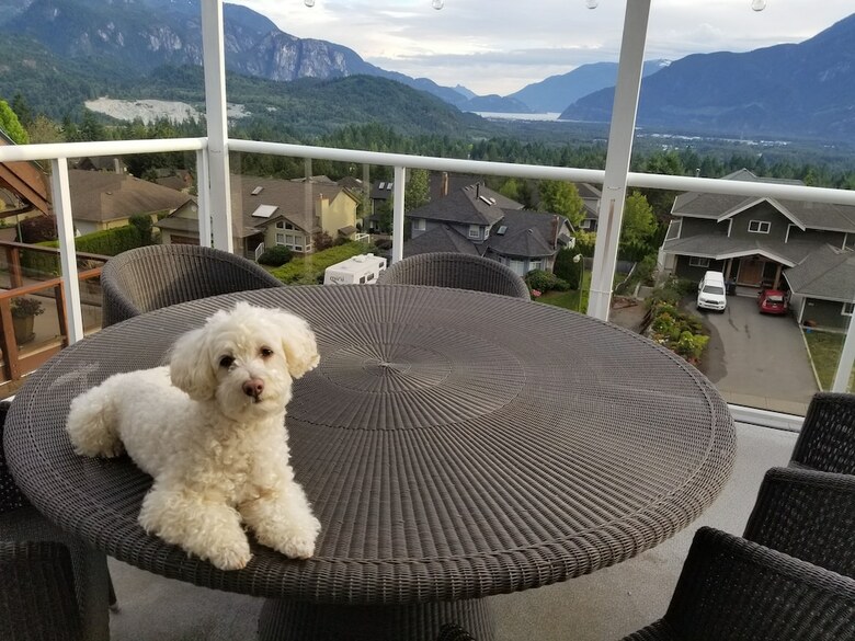 Squamish Highlands Bed And Breakfast