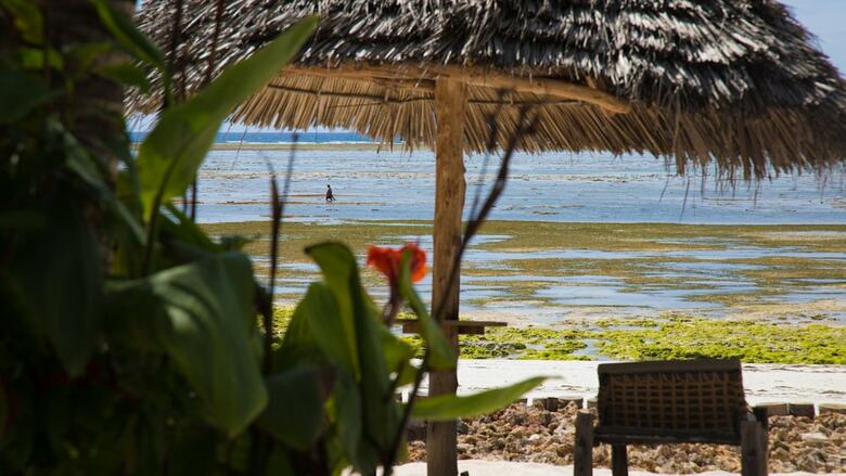 Posada Milele Beach Resort