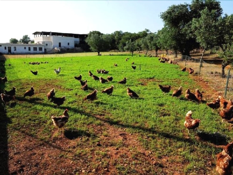 Agroturismo Agritria Di Umberto Anglisani