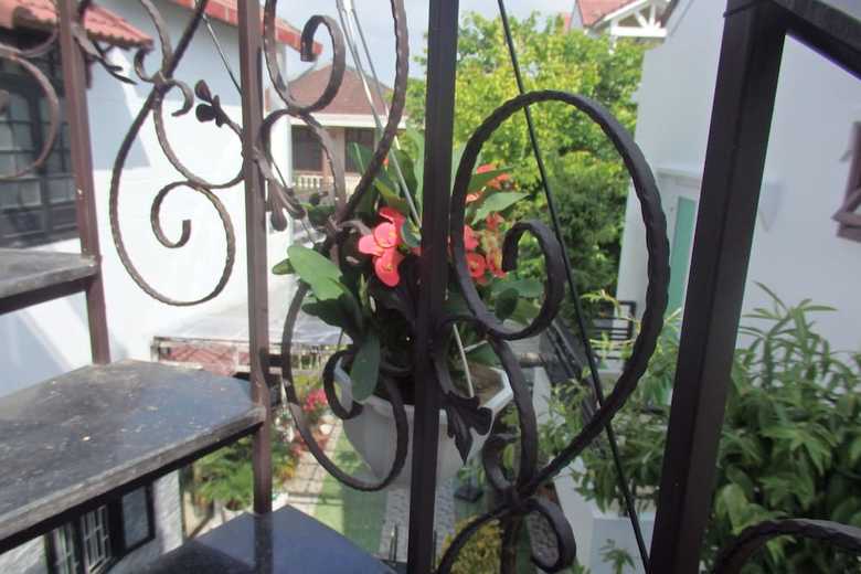 Hotel Anh Family Homestay