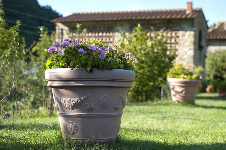 Agroturismo Country Room Il Moro