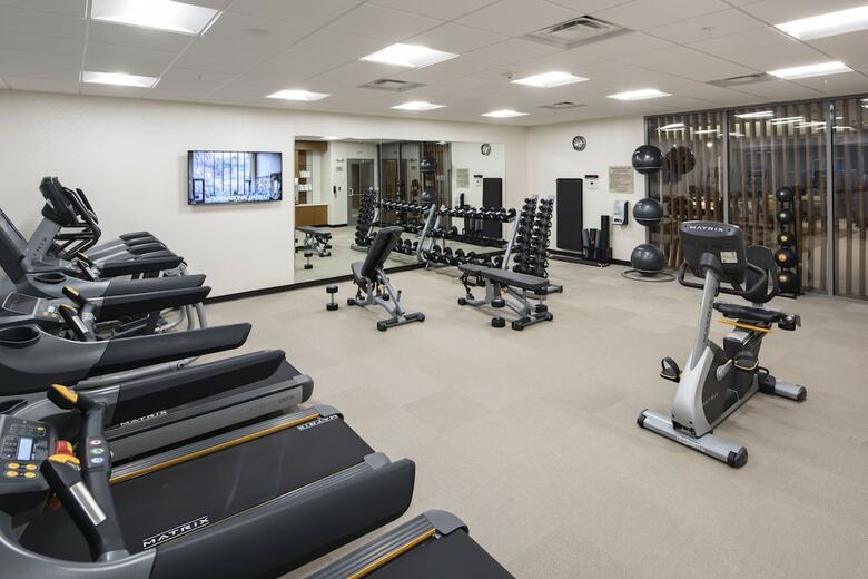 Hotel Springhill Suites By Marriott Tampa Suncoast Parkway