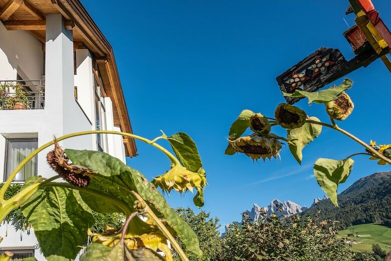 Art  Appartment Schatzer