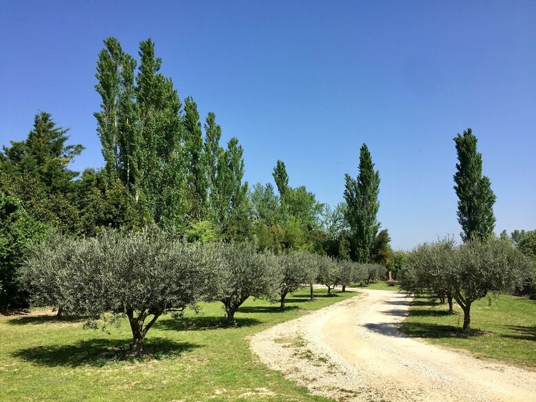 Apartamento Des Roulottes En Provence. Appartement