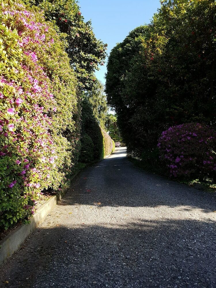 Bmp Apartment Azalea