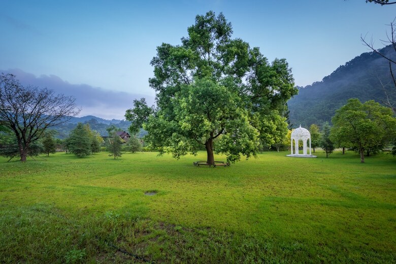 Bed & Breakfast Cloudland Resort