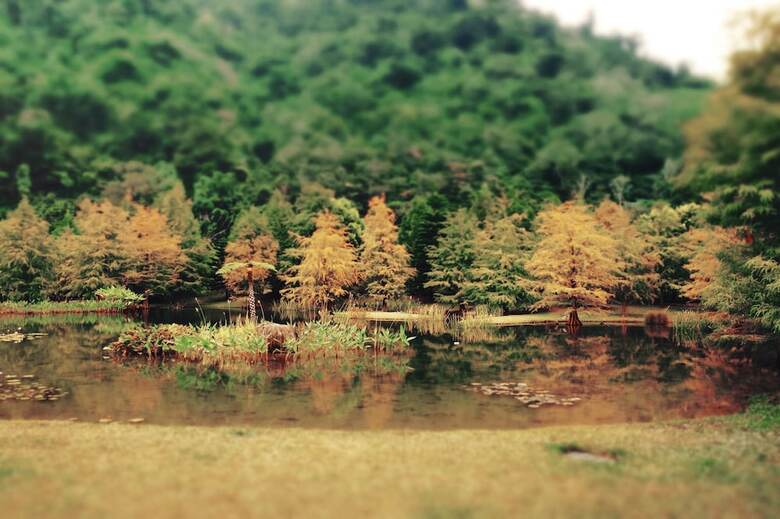 Bed & Breakfast Cloudland Resort