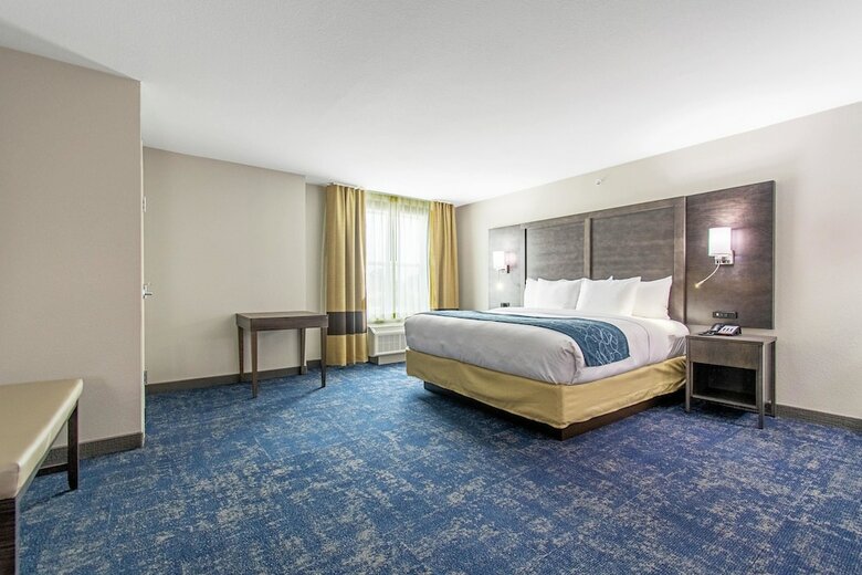 Hotel Comfort Suites Humble Houston At Beltway 8
