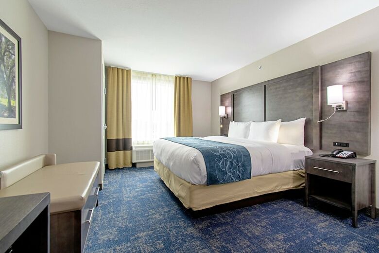 Hotel Comfort Suites Humble Houston At Beltway 8