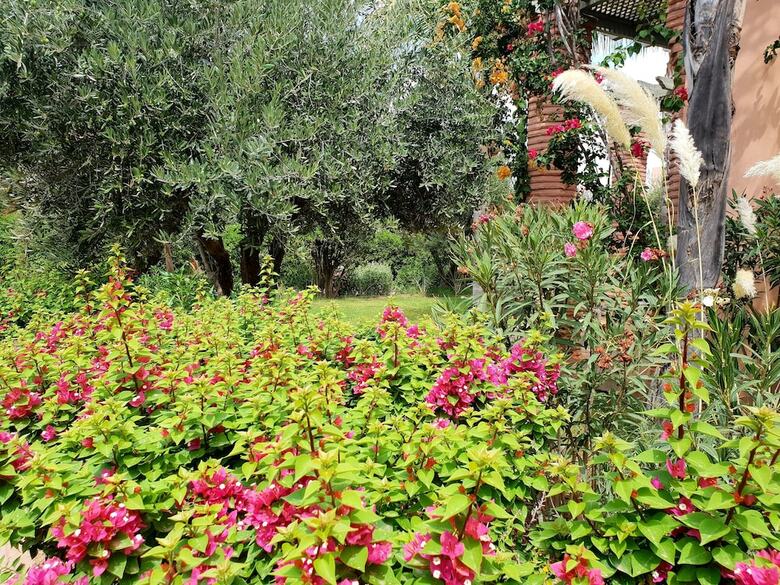 Apartamentos Yasmine Sabor Apppartment
