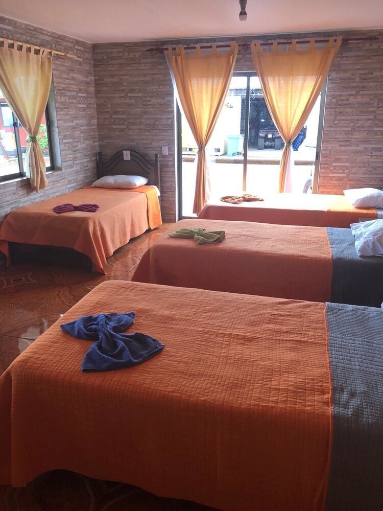 Hostal Hostel Camping Mihinoa