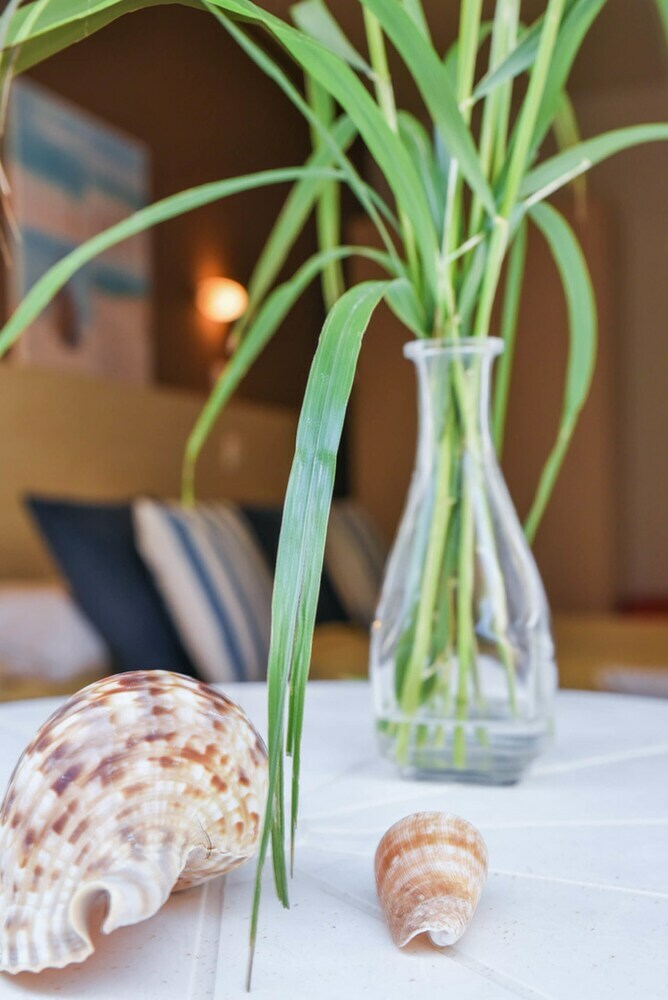 Amaryllis Hotel