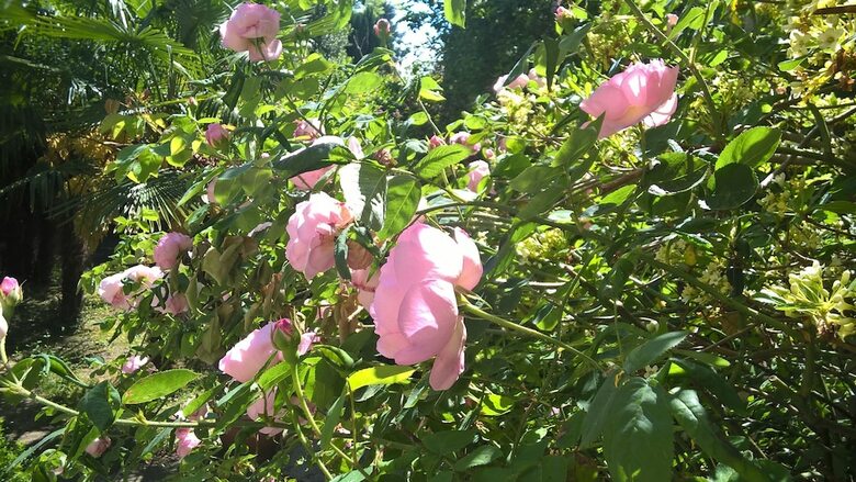 Hotel R�sidence Du Ch�teau