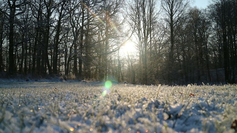 Cabana Grottbyn - Near Sk�nes Djurpark