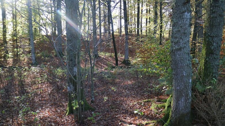 Cabana Grottbyn - Near Sk�nes Djurpark