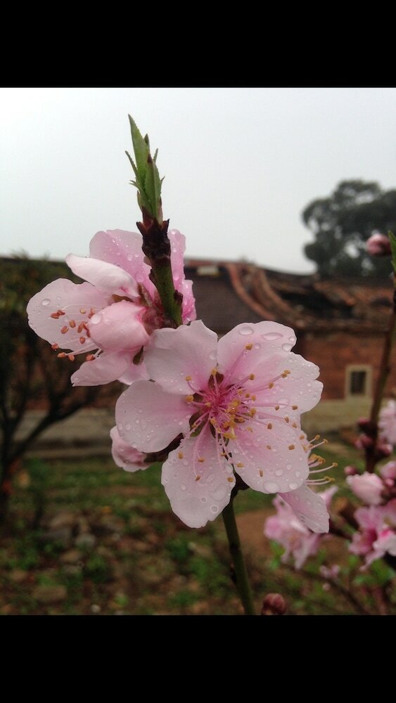 Hotel Mount Tai Wu Cozy