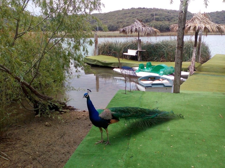 Agroturismo Finca Rural Los Campos