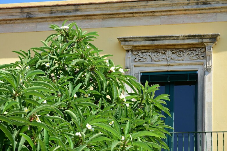 Bed & Breakfast Giardino Arancio