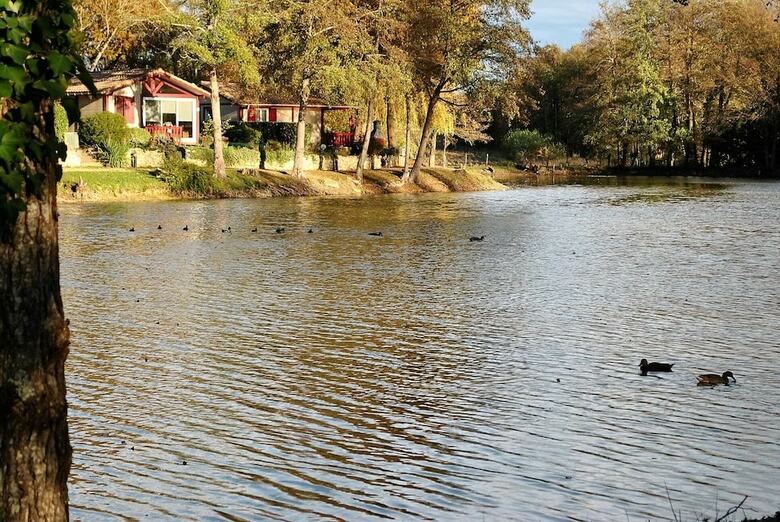 Camping Les Lacs De Courtes - Chalets