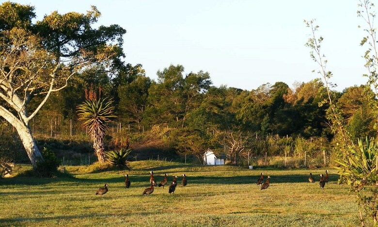 Hotel Kingston Farm