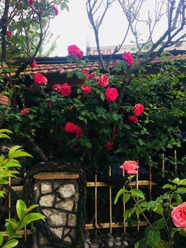 Hostal Guesthouse Berlin