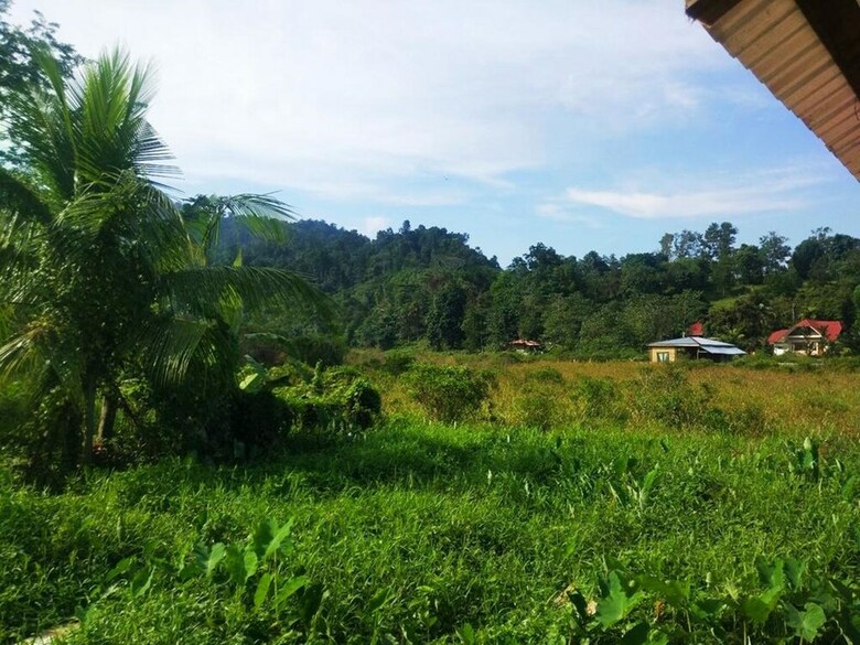 Hotel Nelmann's Nipa Huts