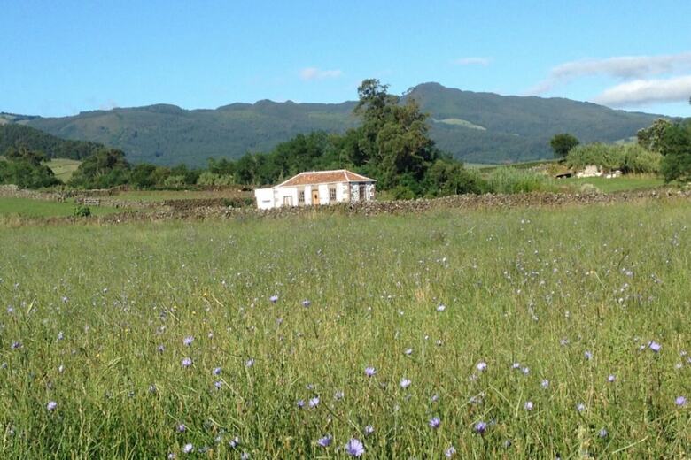 Quinta De S�o Braz