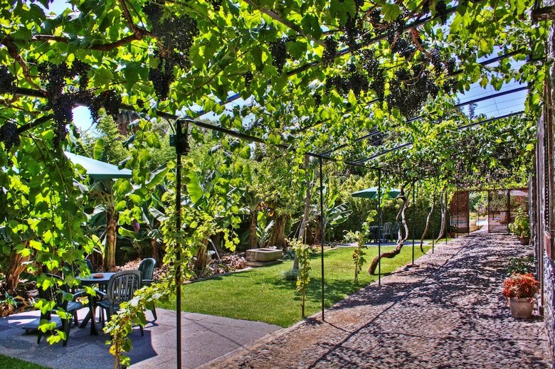 Casa Das Vinhas