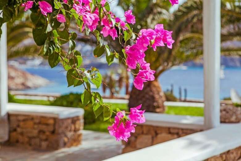 Hotel Sea View Residence