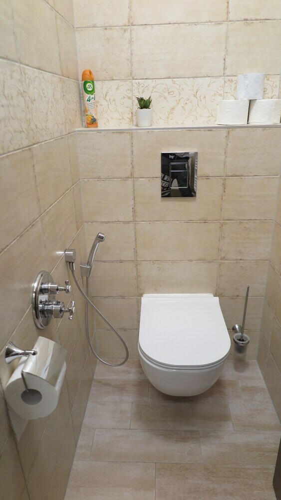 Apartamentos Club Rezidence Pod Lu?� Lou?ovice