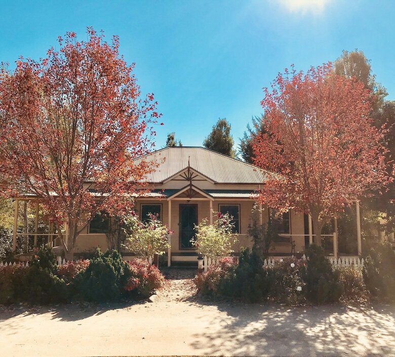 Autumn Beauty 3