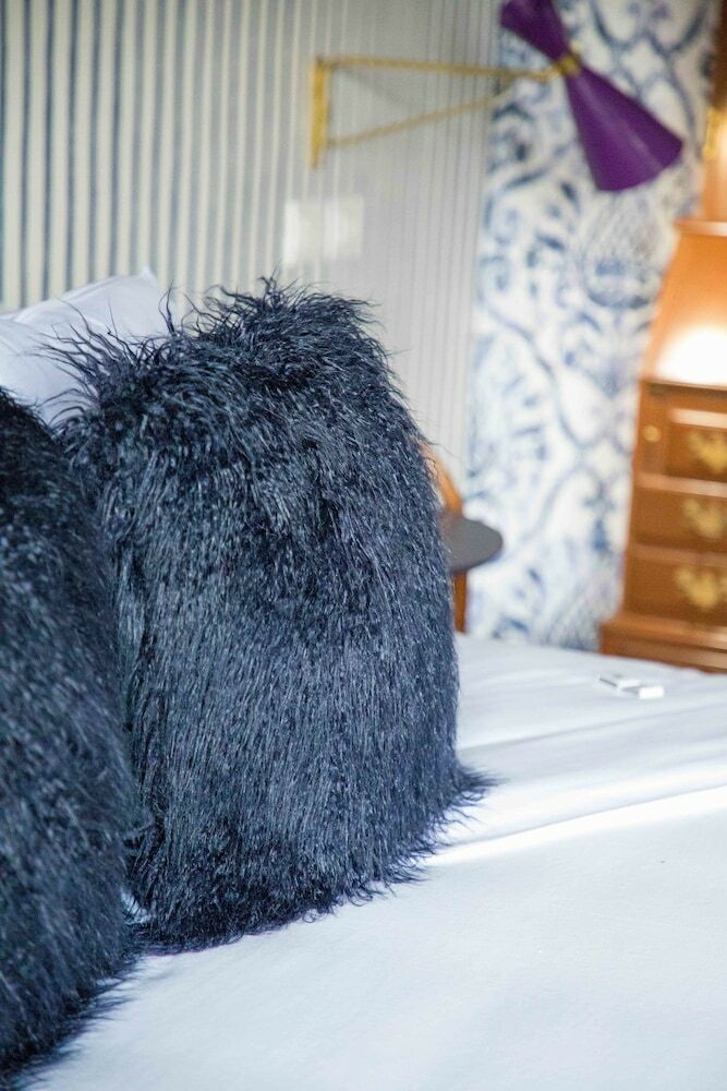 Bed & Breakfast Pug Seal Anatole France