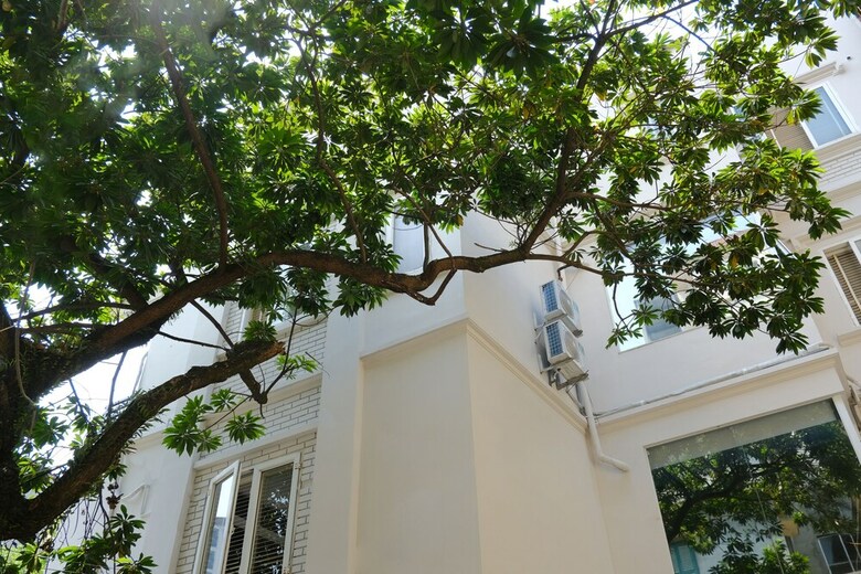 Hotel Le Petit Hanoi