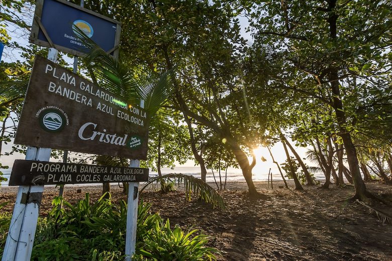 Hotel Cariblue Beach And Jungle Resort