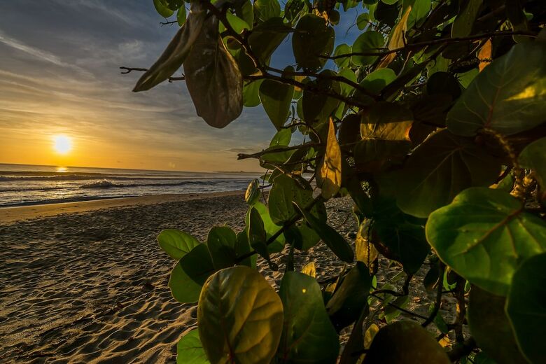 Hotel Cariblue Beach And Jungle Resort